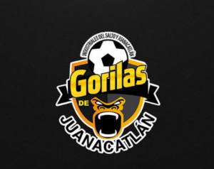 Gorilas Juanacatlán